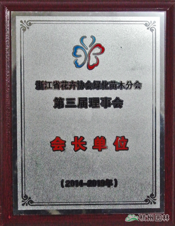 彩运网(中国游)官方网站