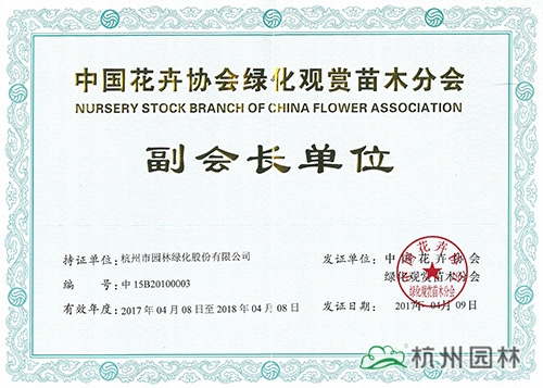 彩运网(中国游)官方网站