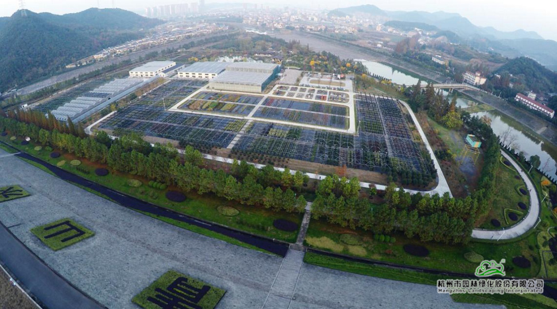 彩运网(中国游)官方网站