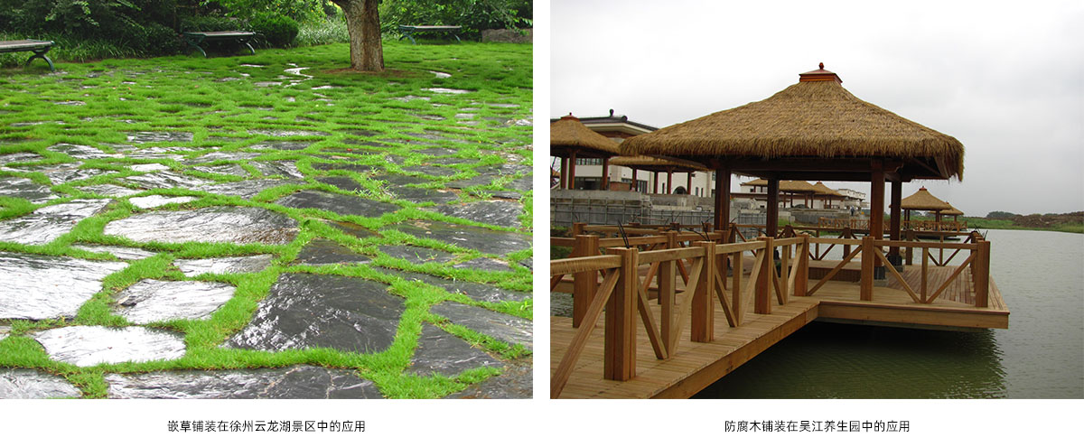 彩运网(中国游)官方网站