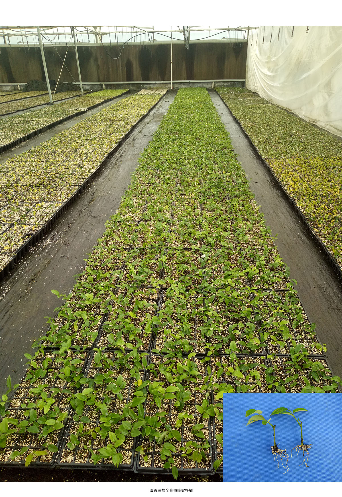 彩运网(中国游)官方网站