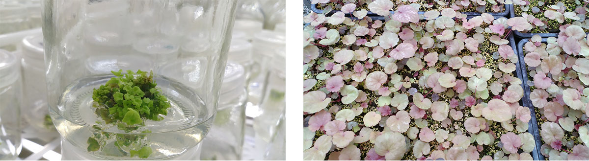 彩运网(中国游)官方网站