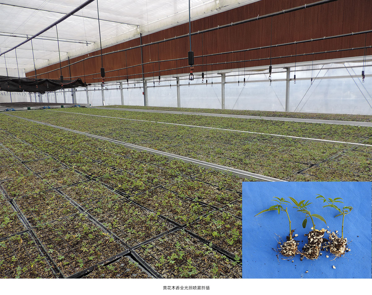 彩运网(中国游)官方网站