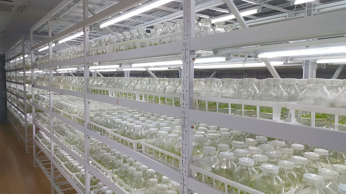 彩运网(中国游)官方网站