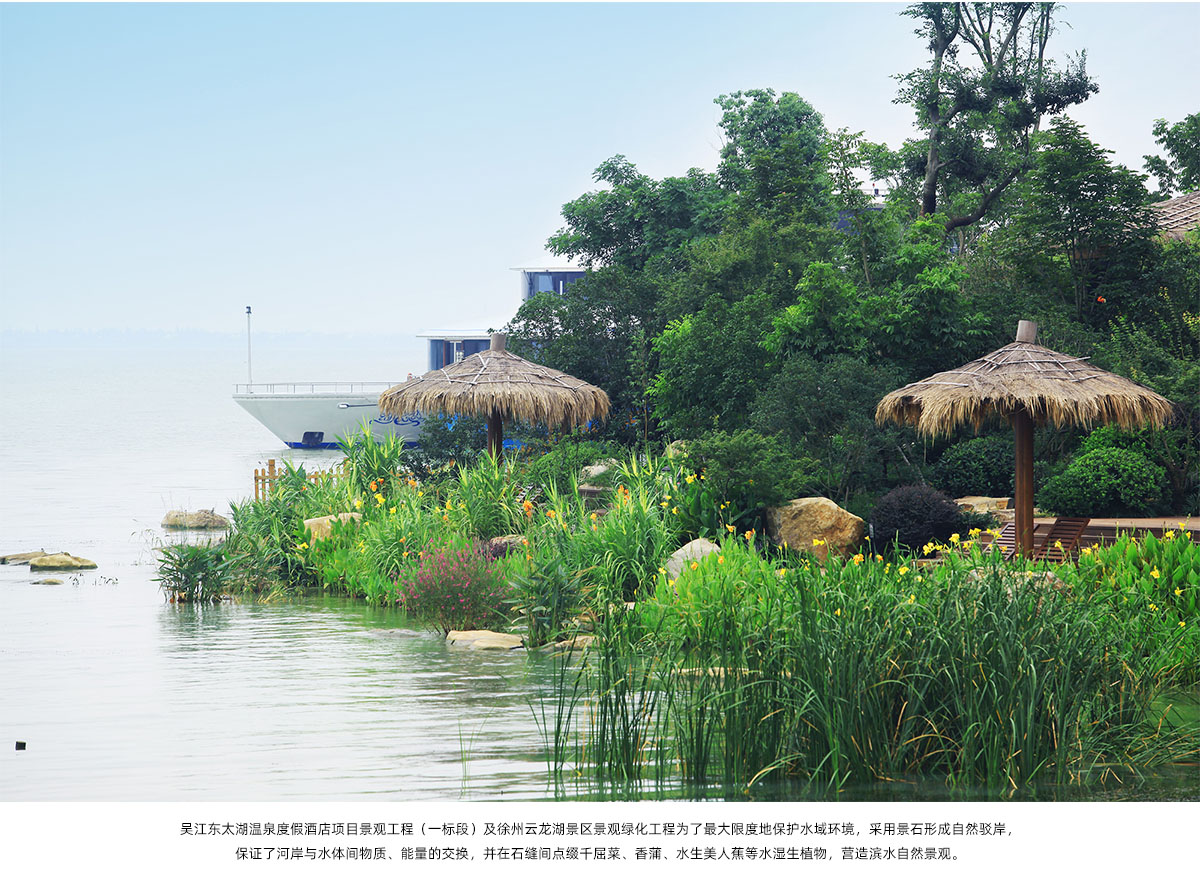 彩运网(中国游)官方网站