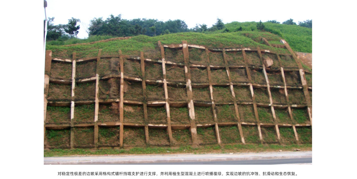 彩运网(中国游)官方网站