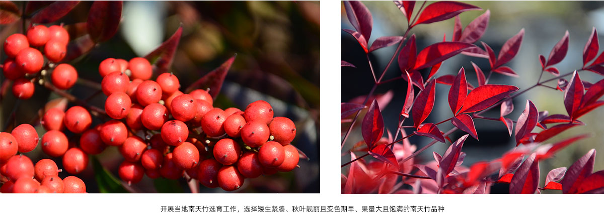 彩运网(中国游)官方网站