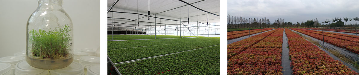 彩运网(中国游)官方网站