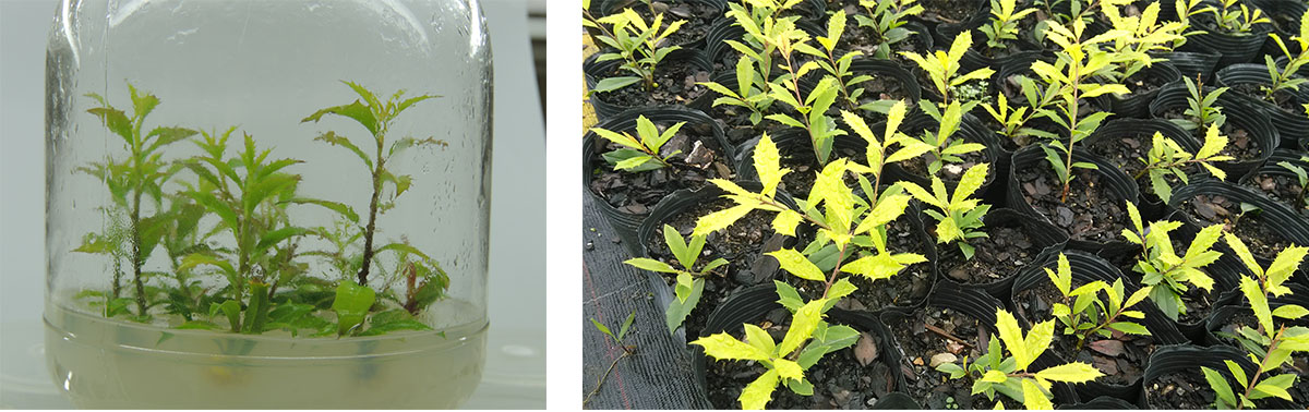 彩运网(中国游)官方网站