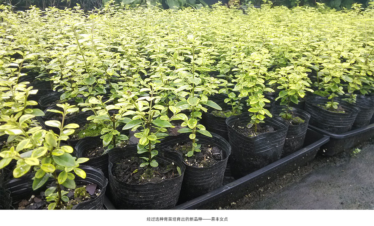 彩运网(中国游)官方网站