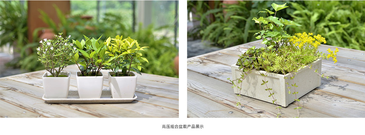 彩运网(中国游)官方网站