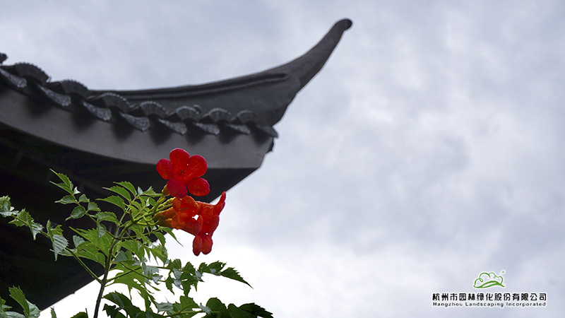 彩运网(中国游)官方网站