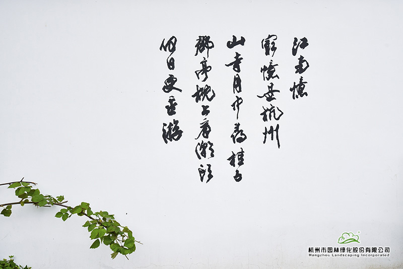 彩运网(中国游)官方网站