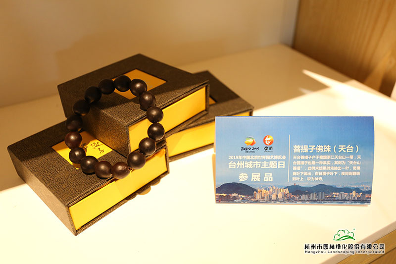 彩运网(中国游)官方网站