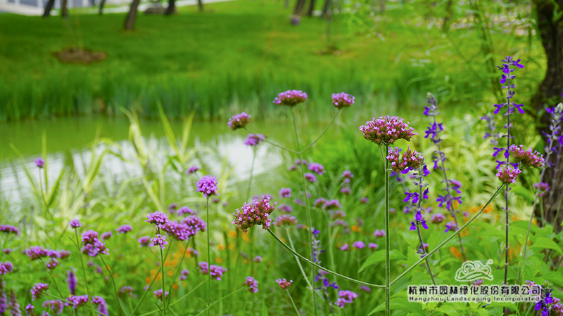 彩运网(中国游)官方网站