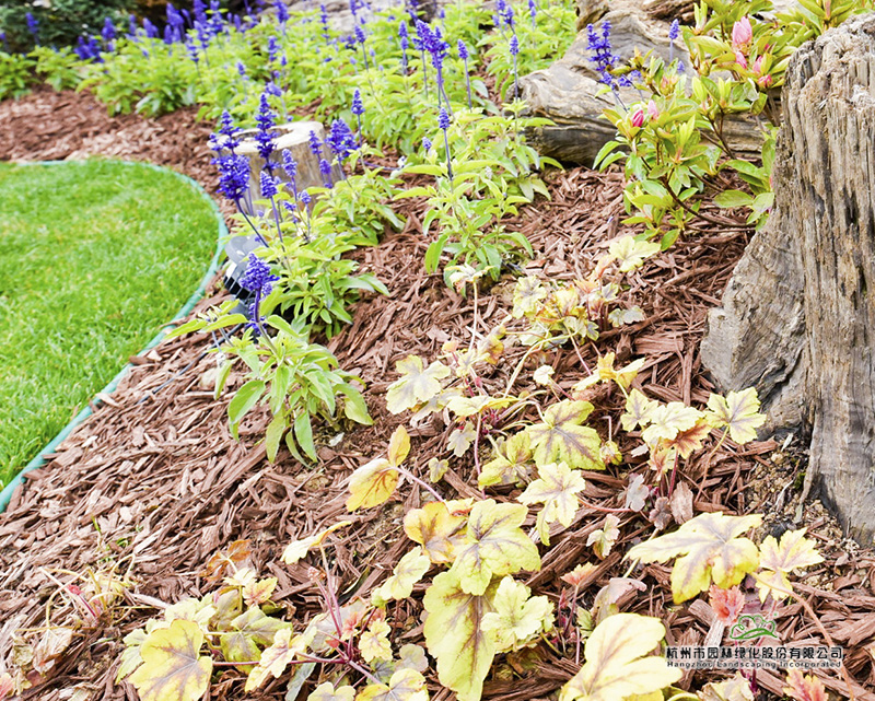 彩运网(中国游)官方网站