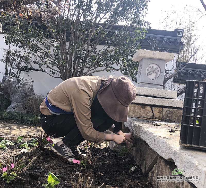 彩运网(中国游)官方网站