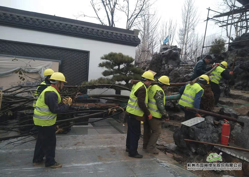 彩运网(中国游)官方网站