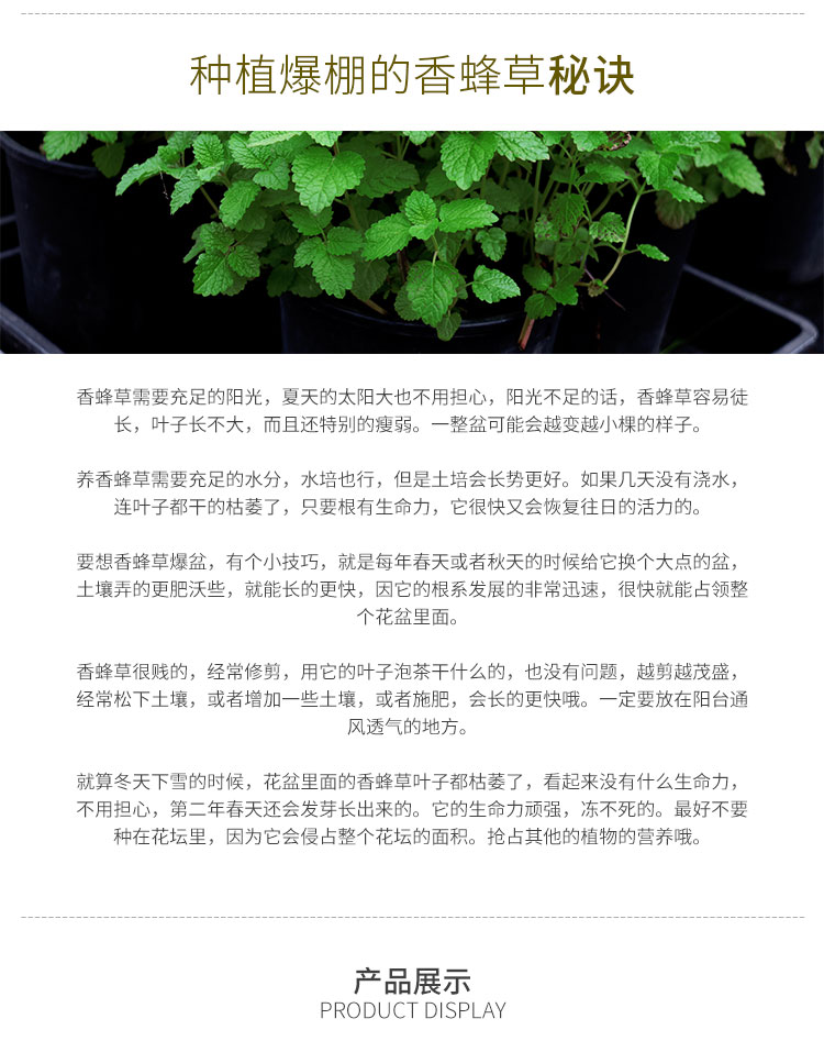 彩运网(中国游)官方网站