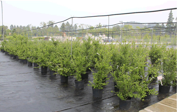 彩运网(中国游)官方网站