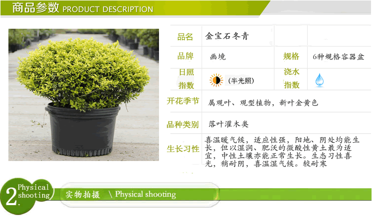 彩运网(中国游)官方网站