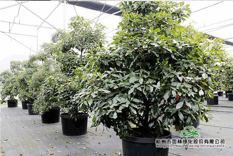 彩运网(中国游)官方网站