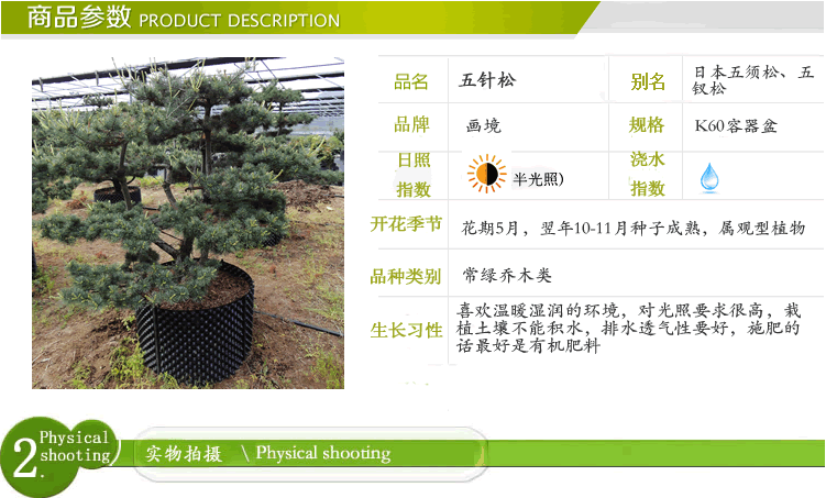 彩运网(中国游)官方网站