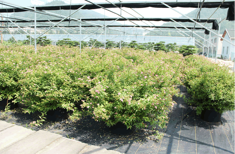 彩运网(中国游)官方网站