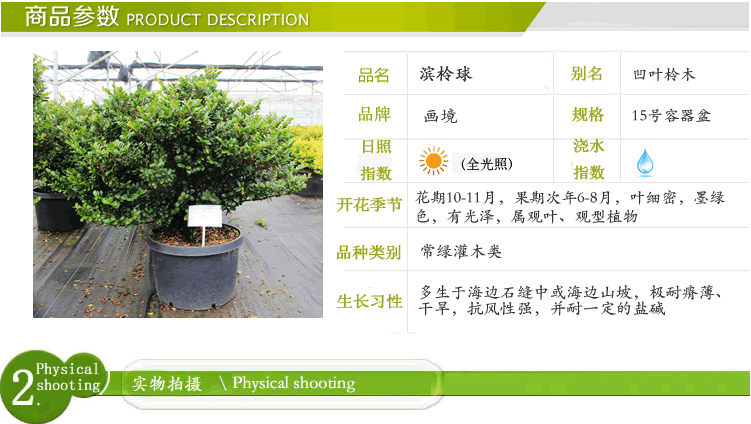 彩运网(中国游)官方网站