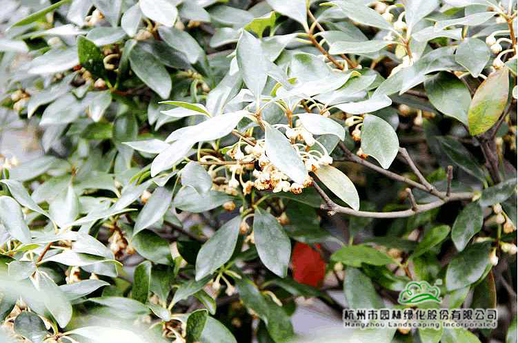 彩运网(中国游)官方网站