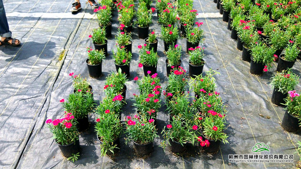 彩运网(中国游)官方网站