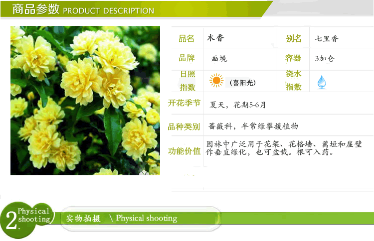 彩运网(中国游)官方网站