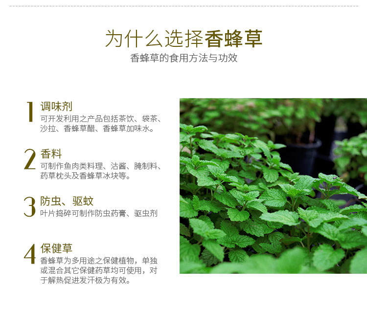 彩运网(中国游)官方网站