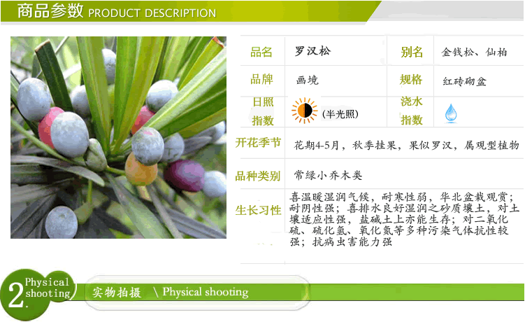 彩运网(中国游)官方网站