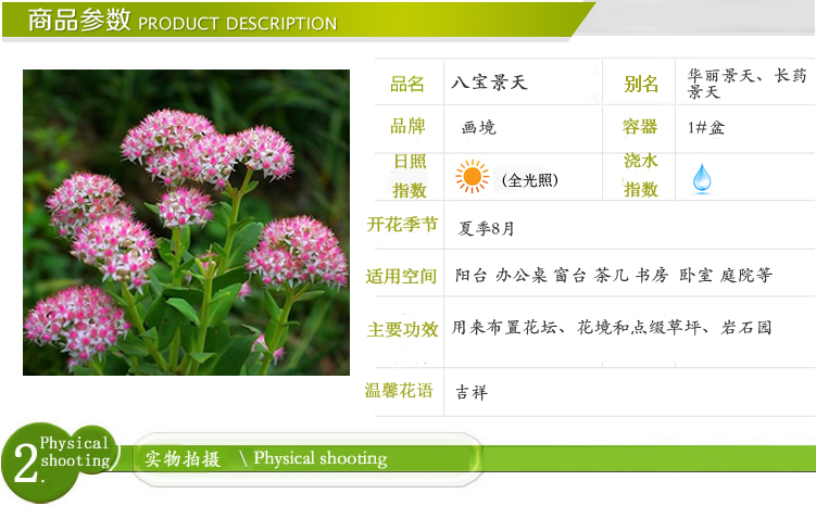 彩运网(中国游)官方网站