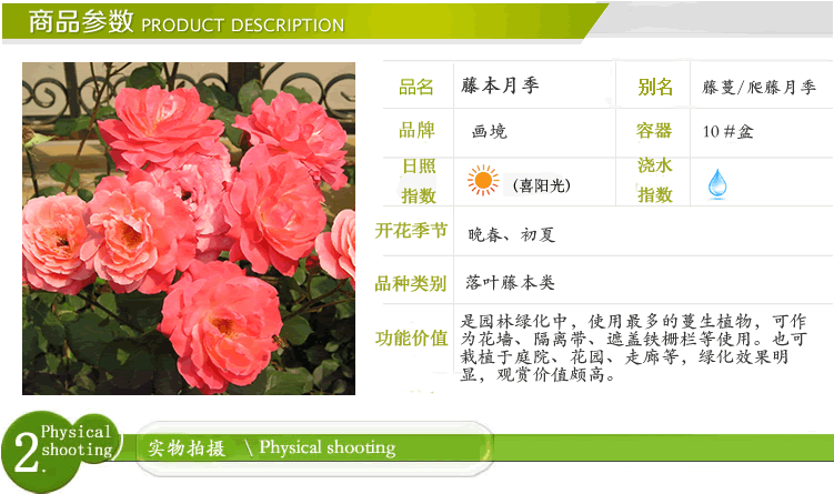 彩运网(中国游)官方网站