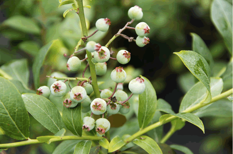 彩运网(中国游)官方网站