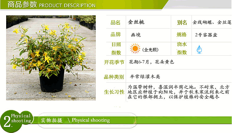 彩运网(中国游)官方网站