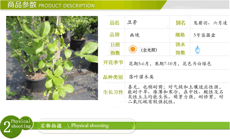 彩运网(中国游)官方网站