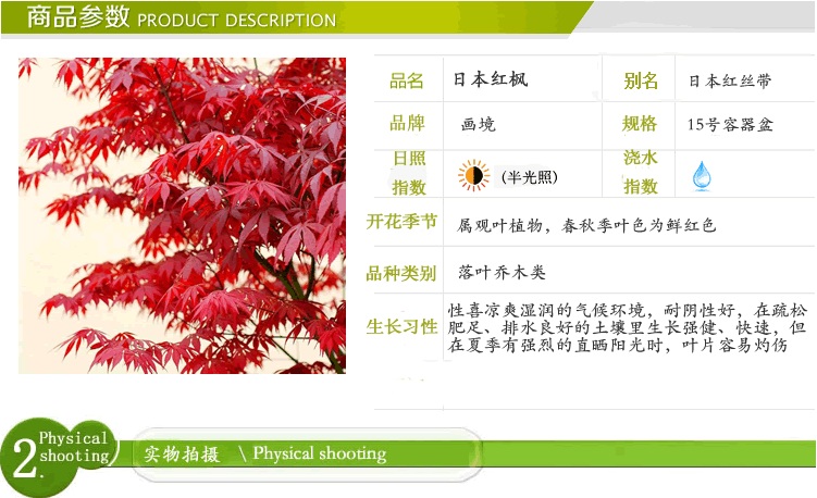 彩运网(中国游)官方网站