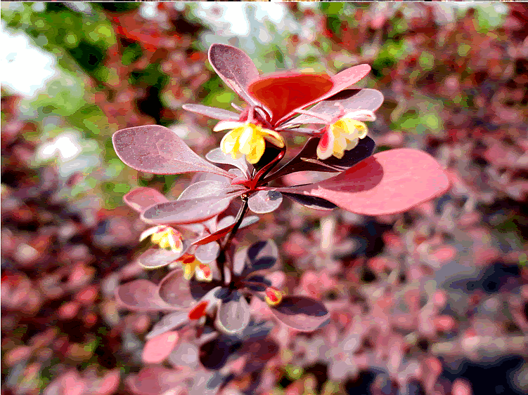 彩运网(中国游)官方网站