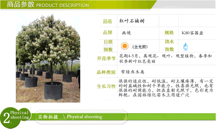 彩运网(中国游)官方网站