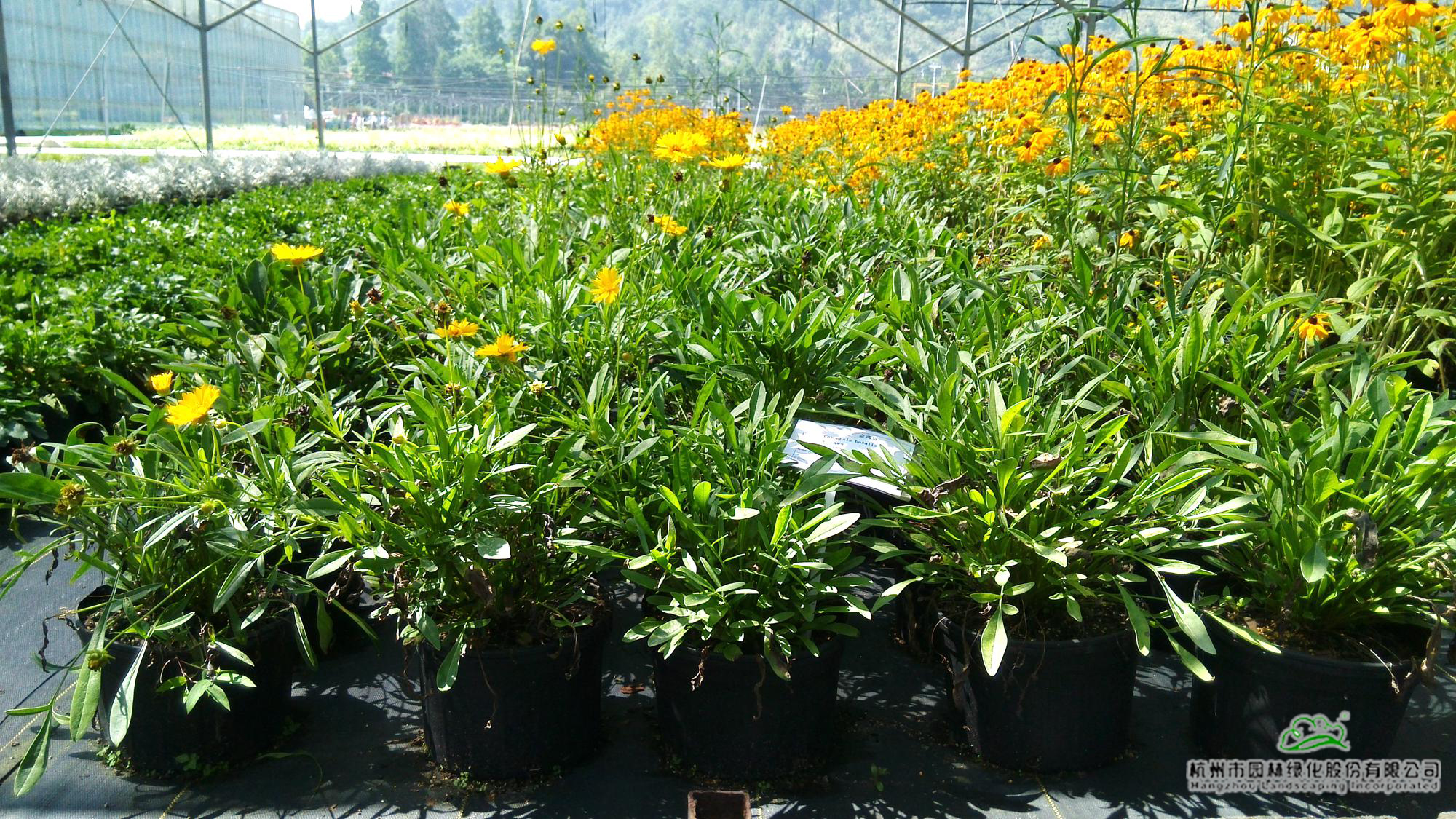 彩运网(中国游)官方网站