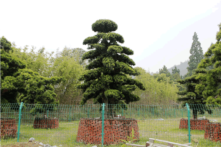 彩运网(中国游)官方网站