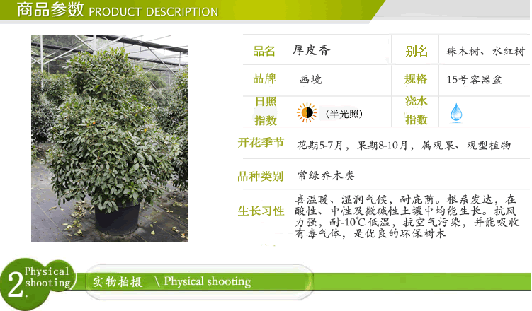 彩运网(中国游)官方网站