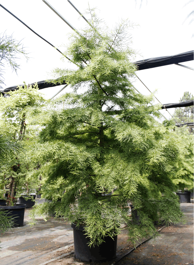 彩运网(中国游)官方网站