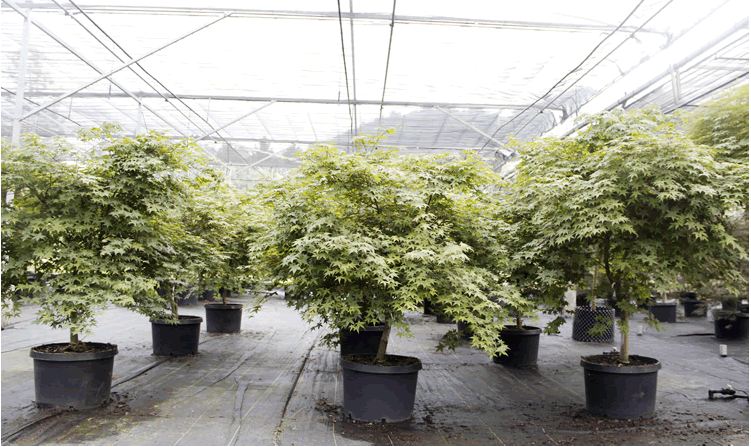 彩运网(中国游)官方网站