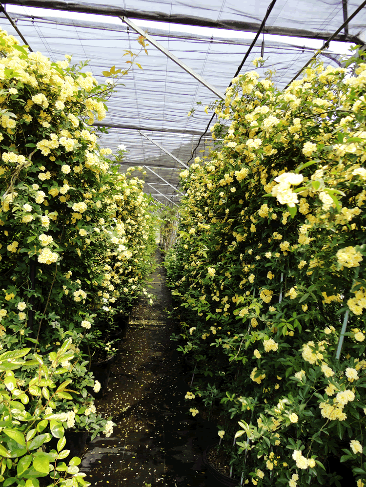 彩运网(中国游)官方网站