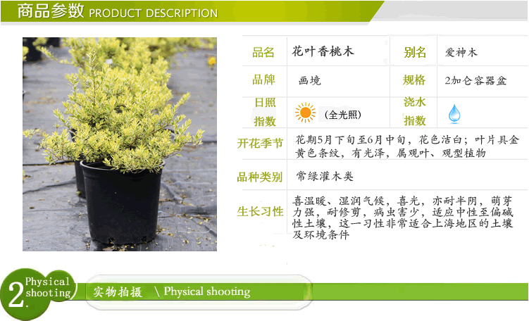 彩运网(中国游)官方网站