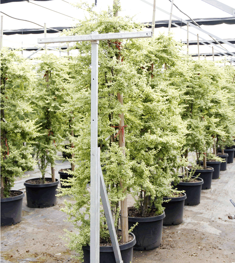 彩运网(中国游)官方网站